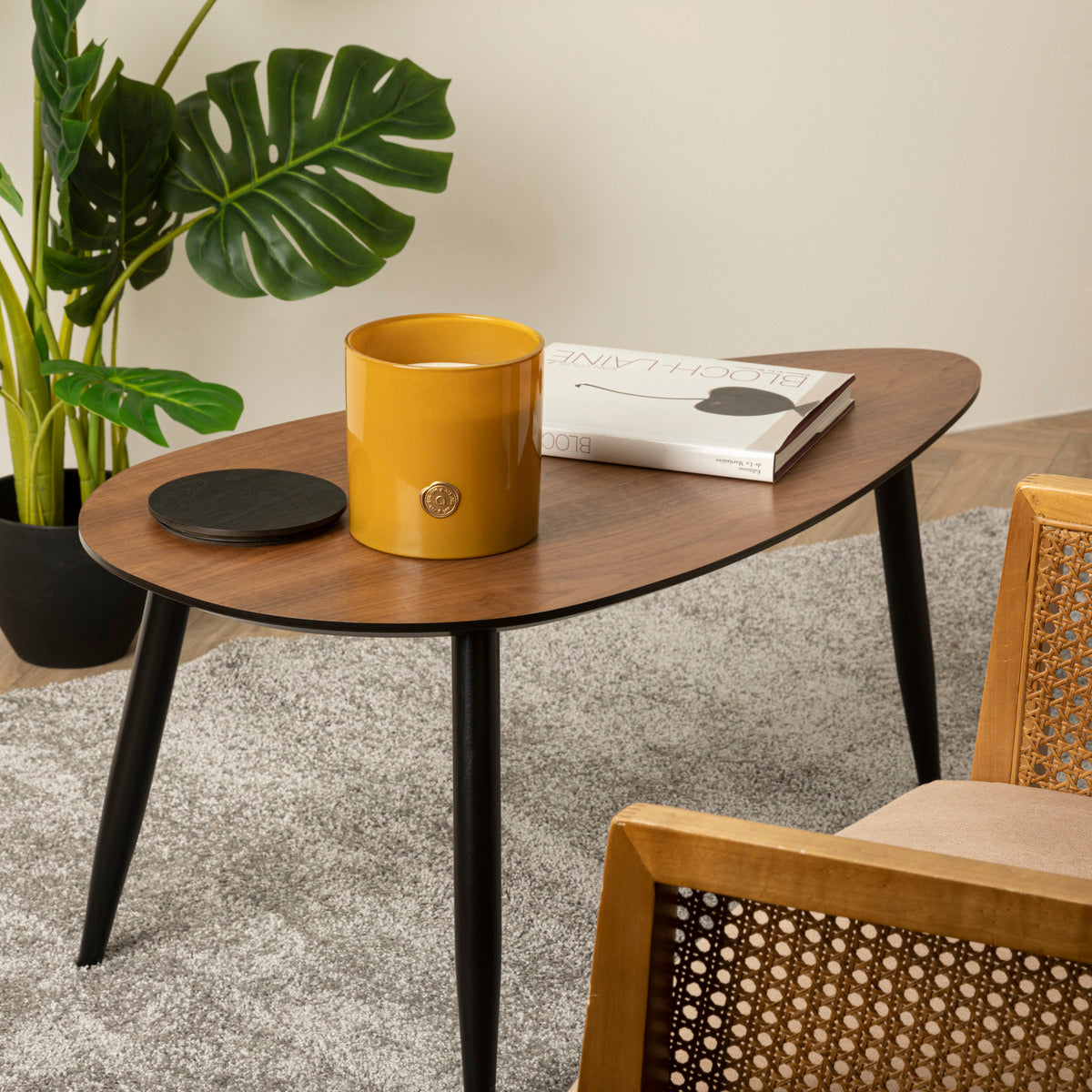 SVIJEĆA ENZO VANILA 1200G 184741C