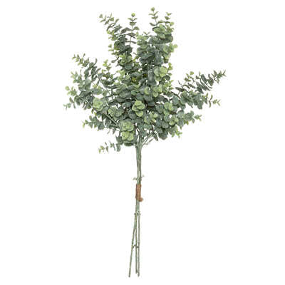 BUKET EUKALIPTUSA H64
179274