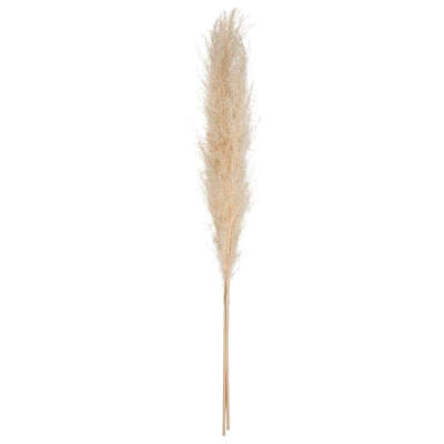 PAMPAS NAT STUB X3 H110
179282