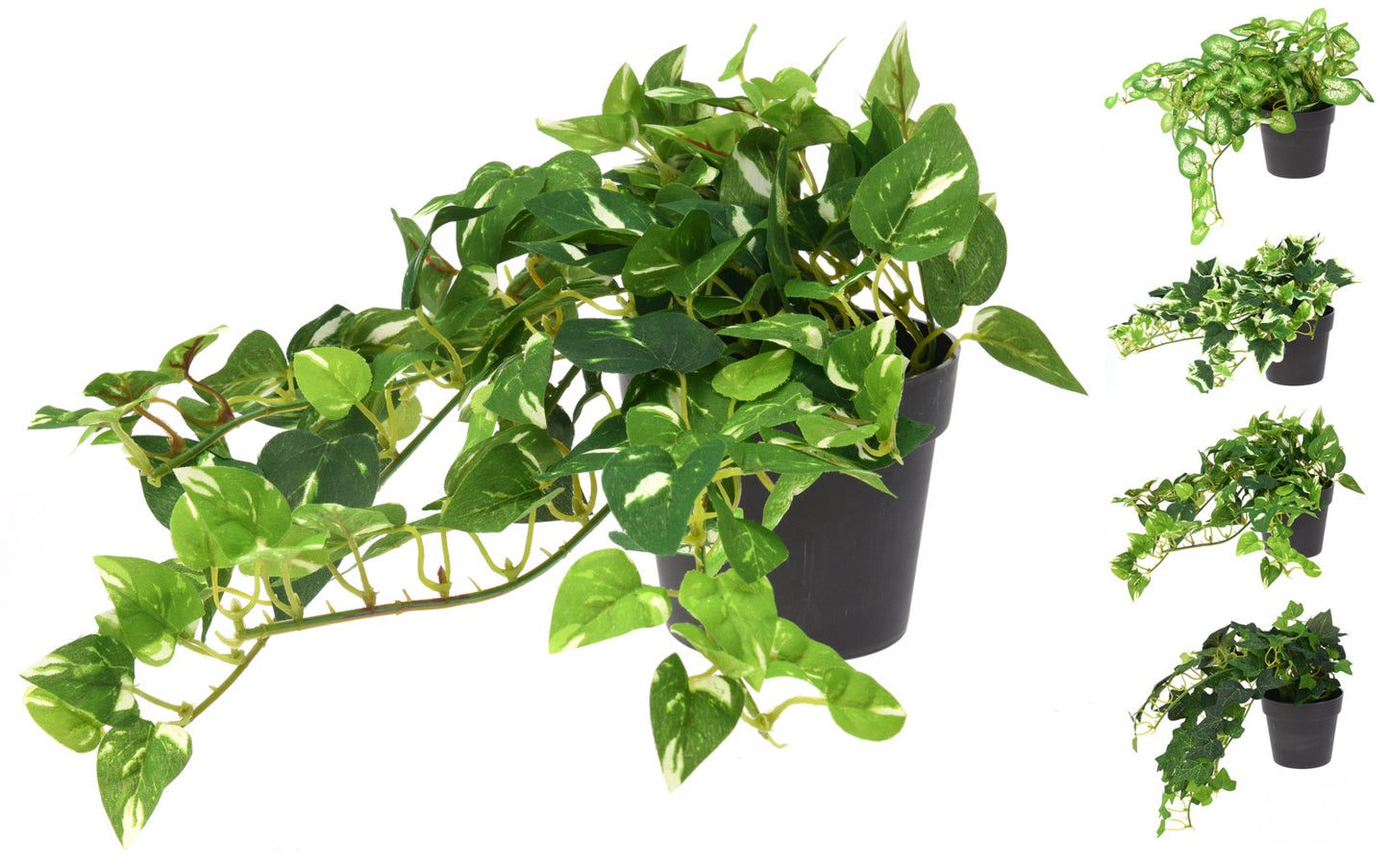 BILJKA VISEĆA U SAKSIJI 25CM 4AS 317002360