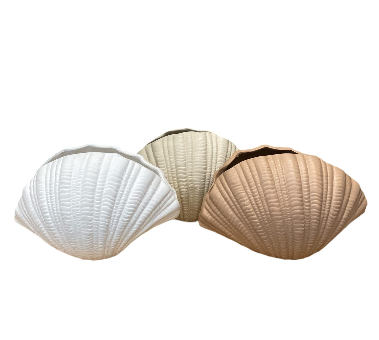 DEKORATIVNA VAZNA MIDYE SKOLJKA RUČNI RAD