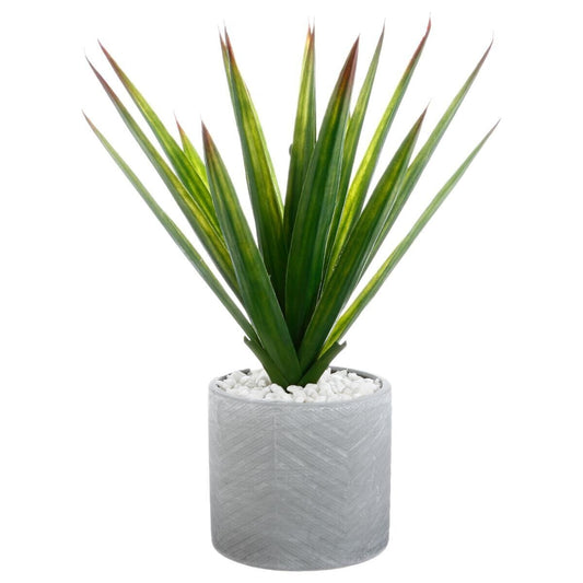 ALOE VERA KERAMIČKA SAKSIJA 48 145025