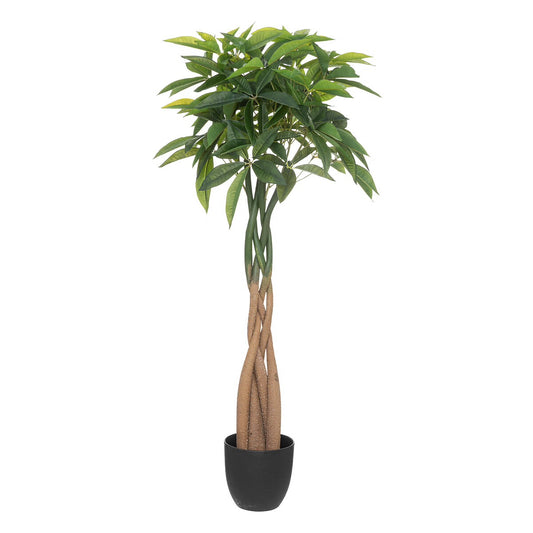 CVIJEĆE PACHIRA TREE BOTA H 110cm 193719