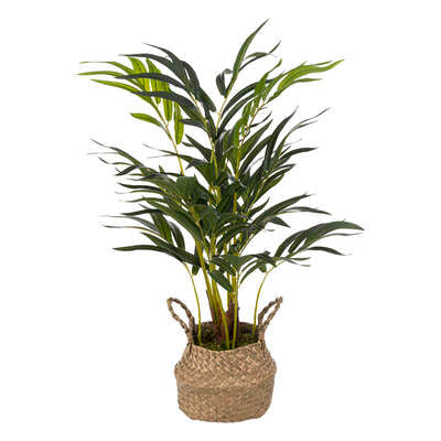 LONDA PALMA NATURAL H80 189129