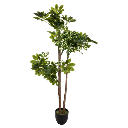 UMJETNA BILJKA SCHEFFLERA V130 179268