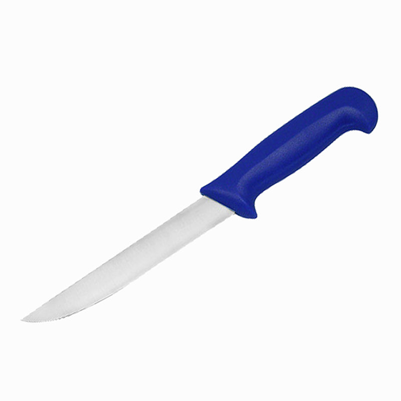 Nož za filetiranje 31cm Haccp plava ruck
