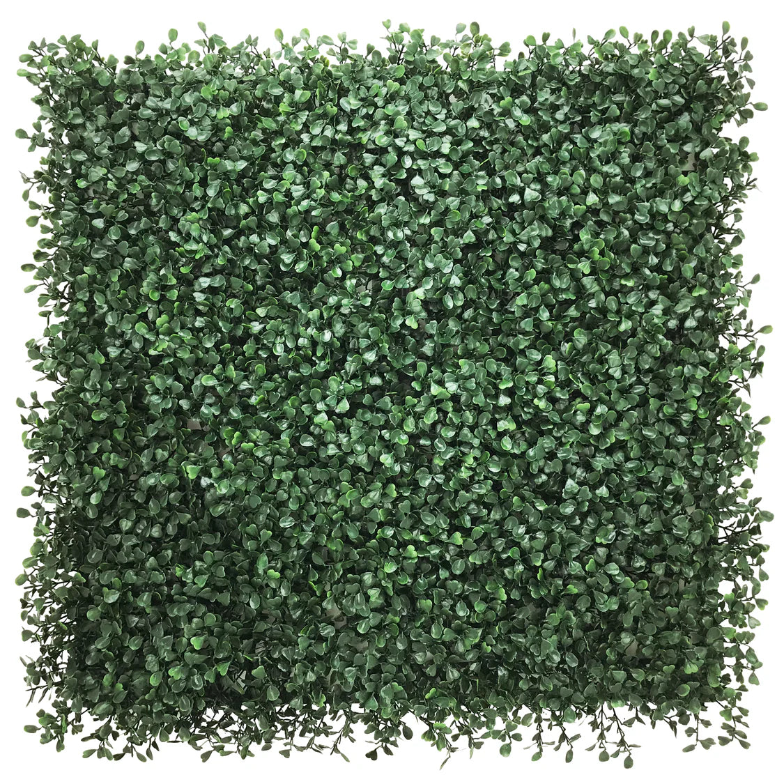TRAVA UMJETNA ZIDNA CCGA147 50x50cm