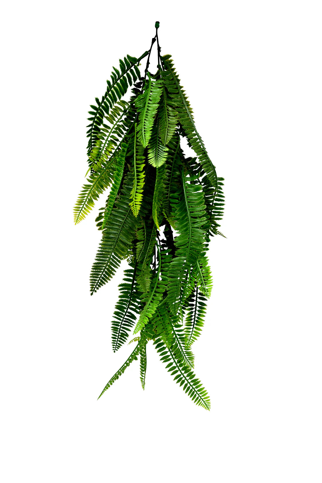 TRAVA UMJETNA ZIDNA CCGT010 60-75cm