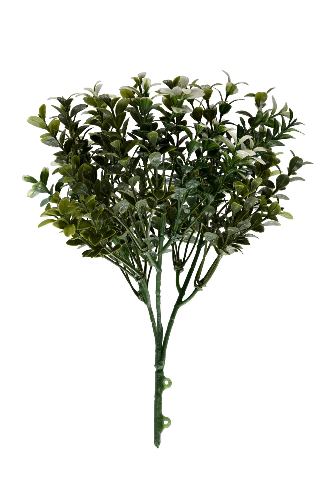 TRAVA UMJETNA ZIDNA CCGW005 25-32cm
