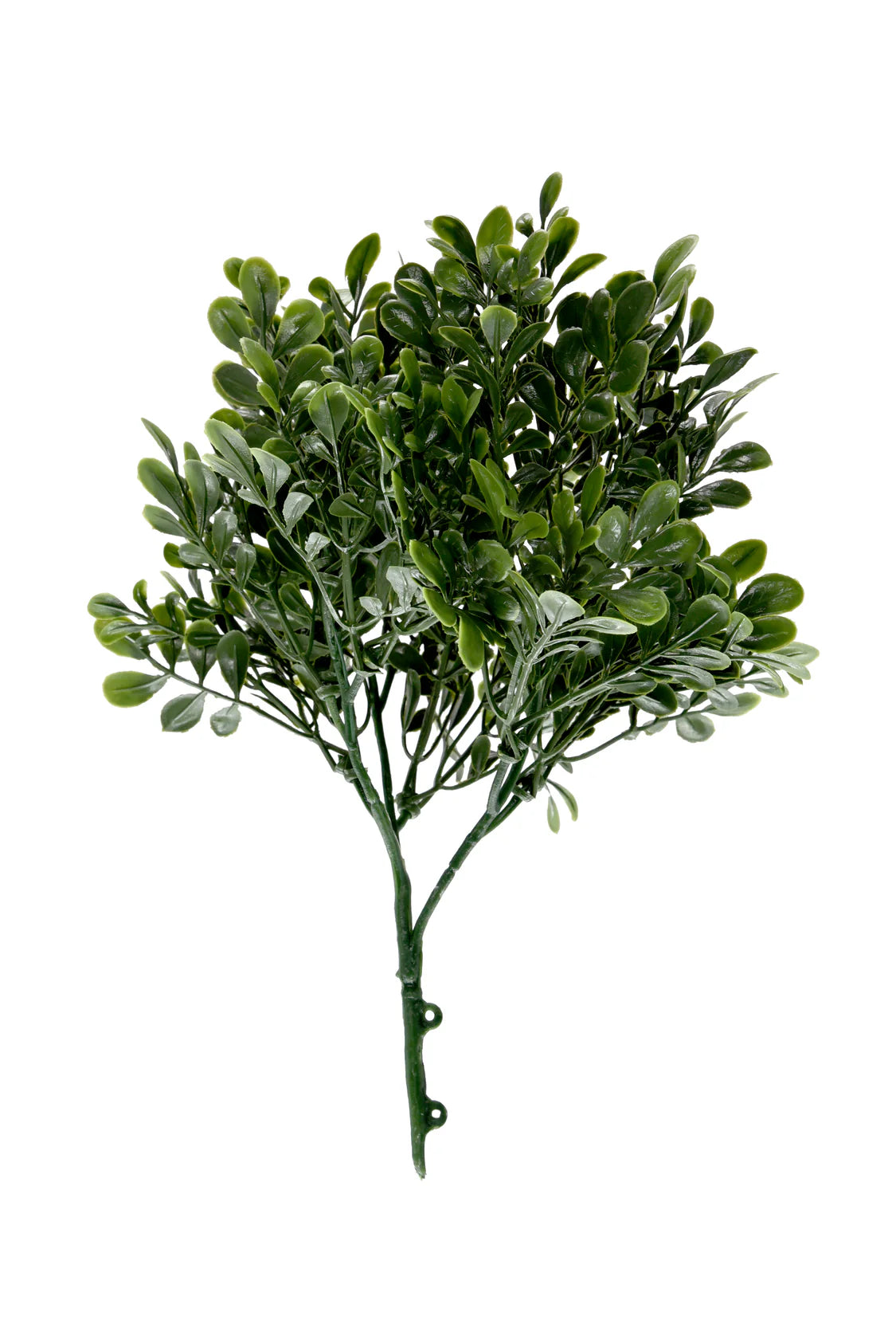 TRAVA UMJETNA ZIDNA CCGW014 25-32cm