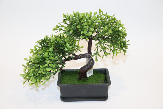 BONSAI STABLO 3AS 317002000