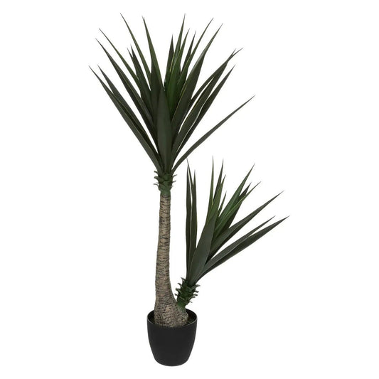 YUCCA H130 181465