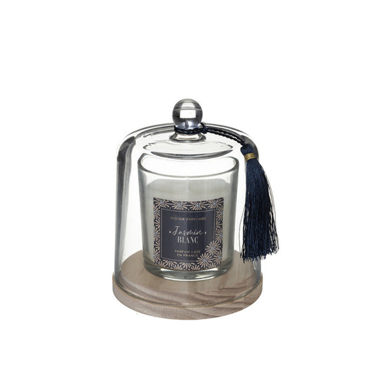 SVIJEĆA JASMIN 181645E