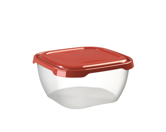 COOL & SAFE BOX S 4 L