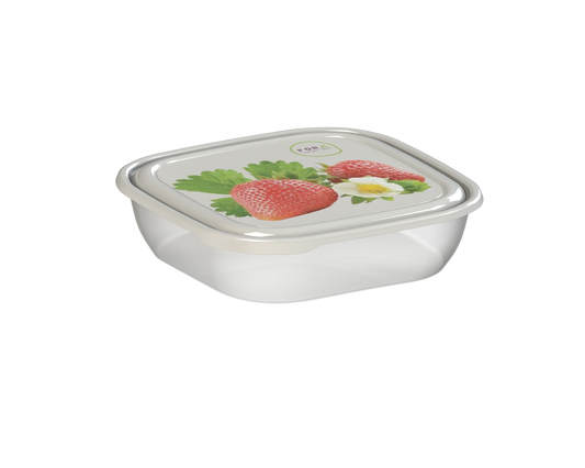 COOL & SAFE BOX S 0,5 L DECOR